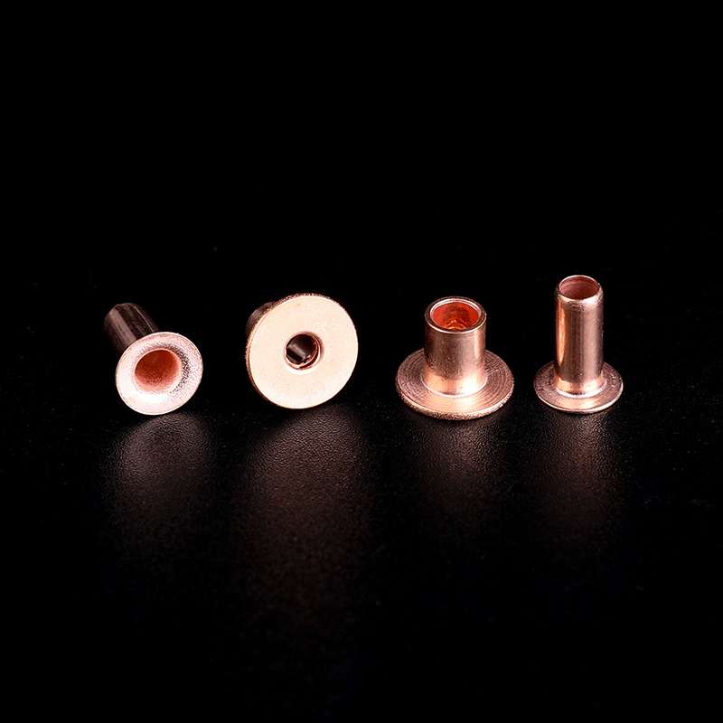 Different Developments Of Solid Rivets And Hollow Rivets