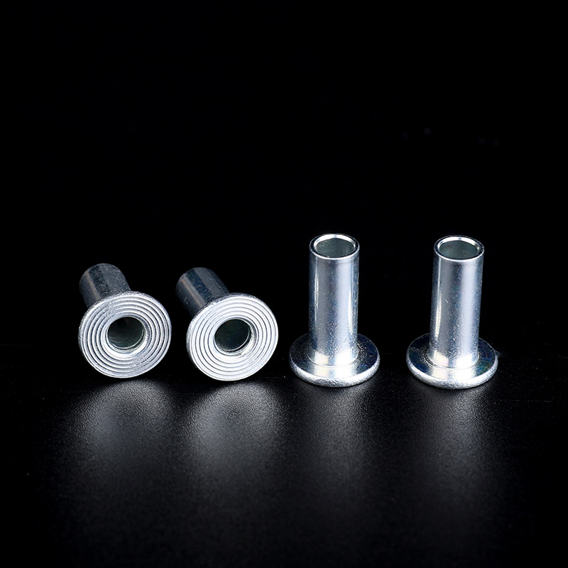 Introduction Of Common Types Of Hollow Rivet